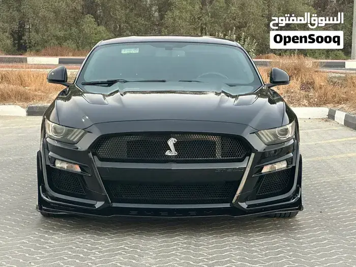 Ford Mustang Gt 2017 photo 2