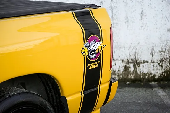 Dodge Ram 2004 photo 5
