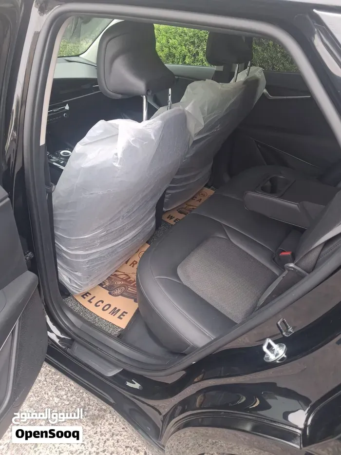 Kia Niro Ev 2024 photo 4