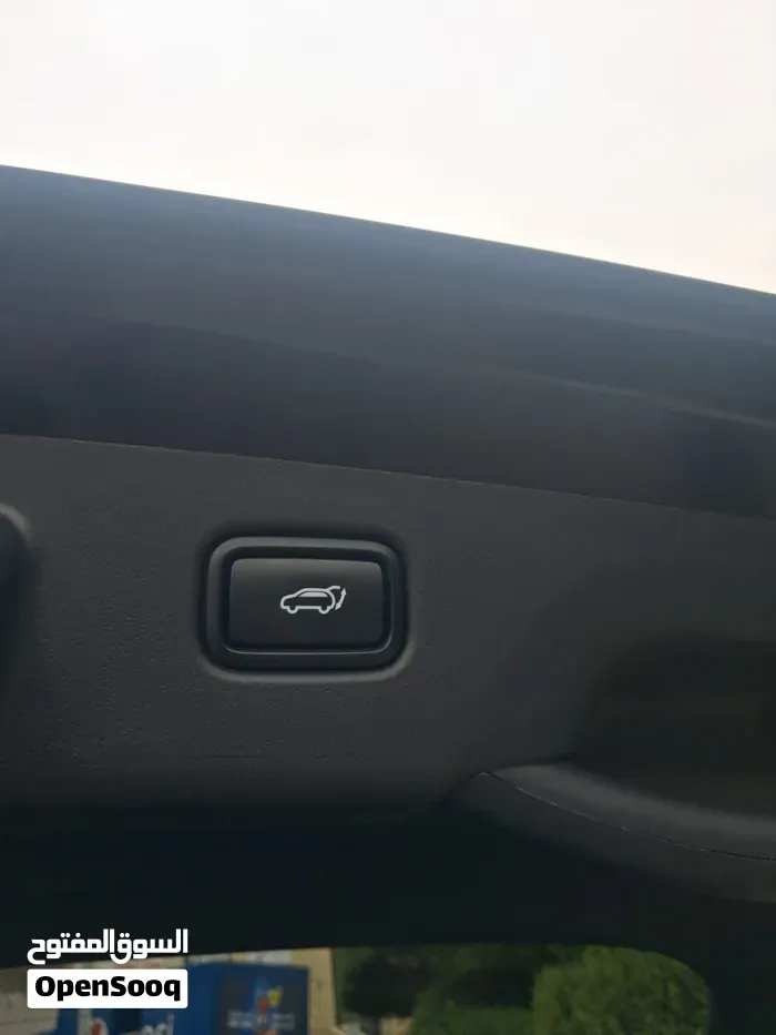 Kia Niro Ev 2024 photo 3