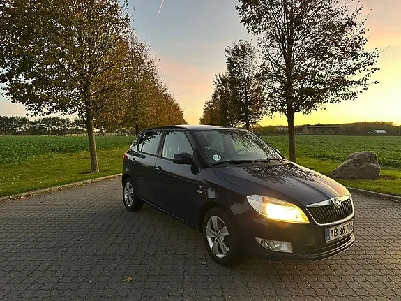 Skoda Fabia 2014 photo 4