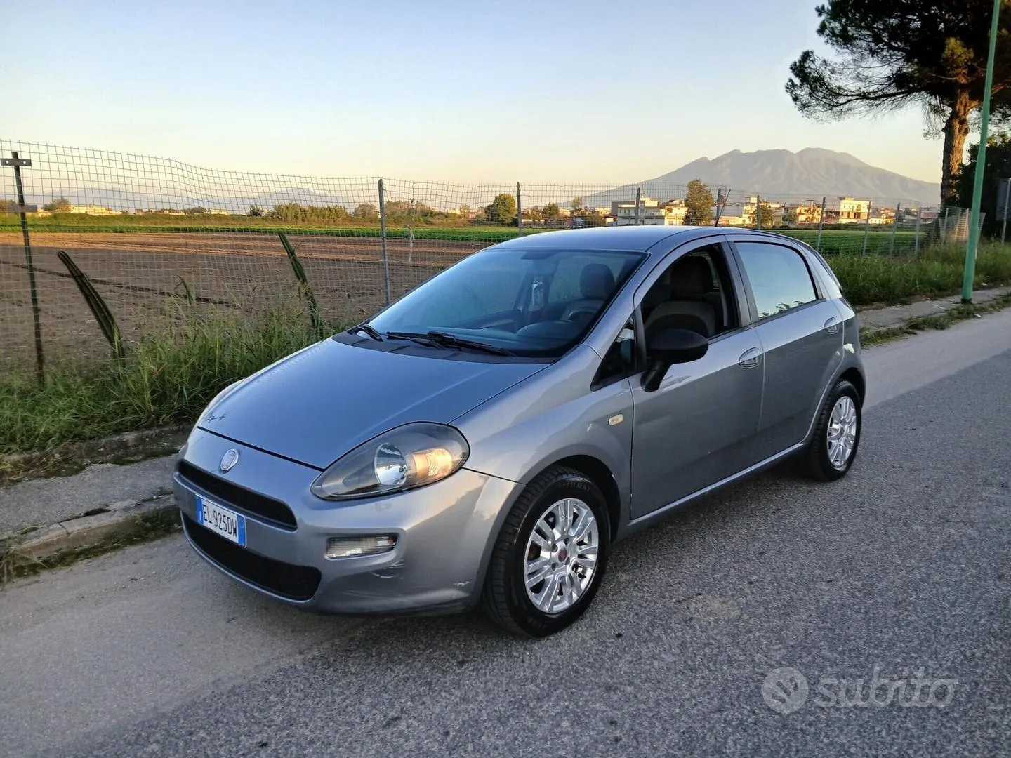 Fiat Punto