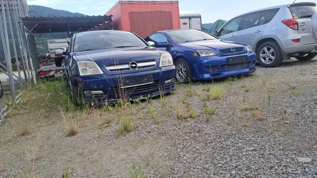 Opel Signum 2003 photo 3