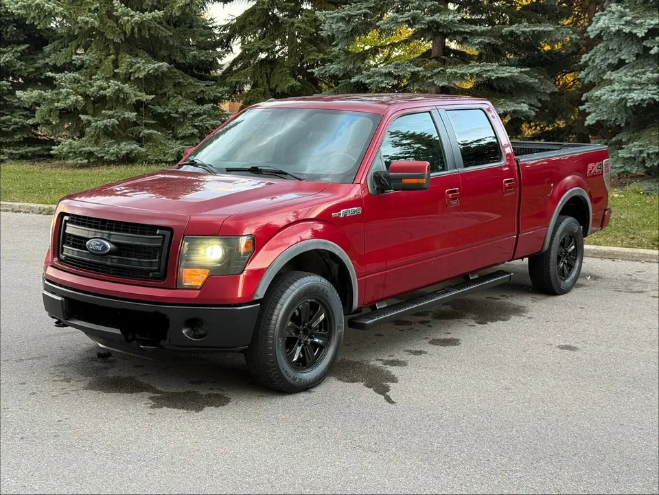 Ford F-150 2014 photo 2