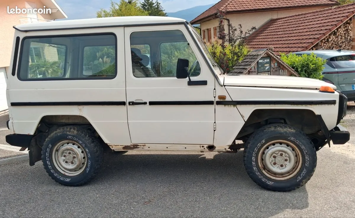 Mercedes-Benz 250Gd 1989 photo 2