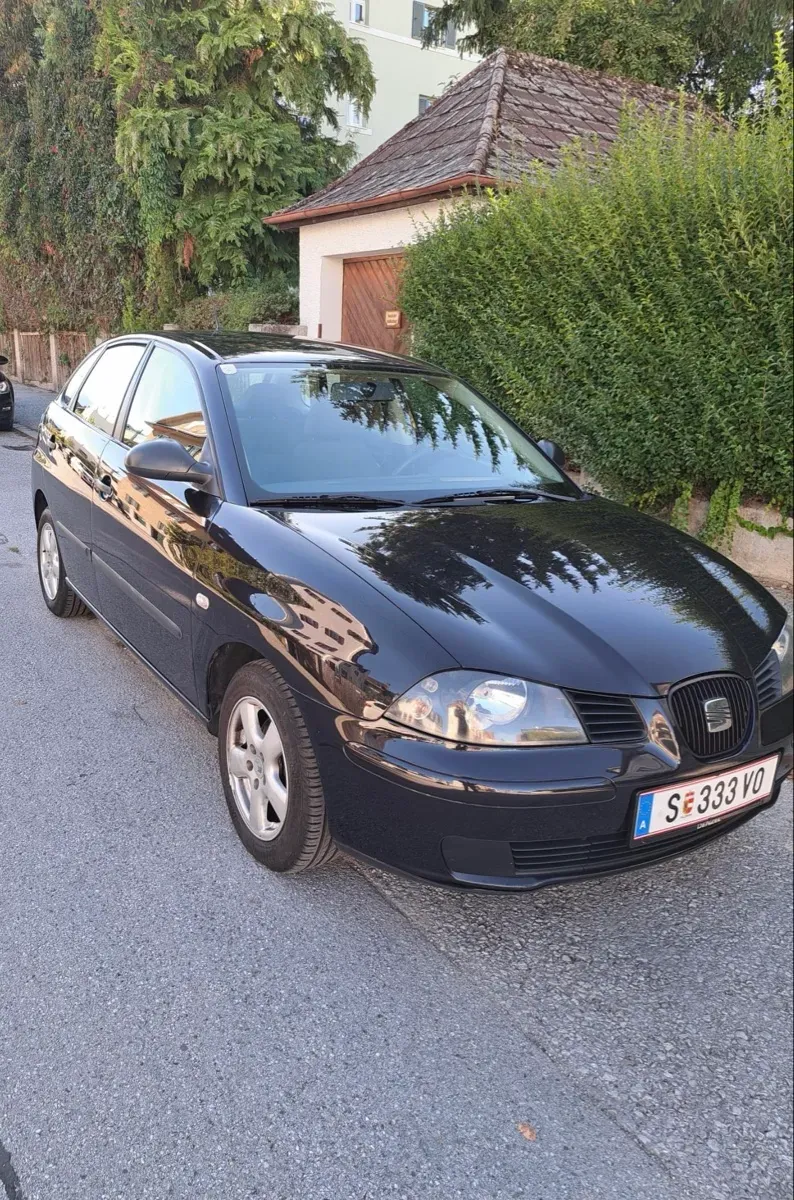Seat Ibiza 2005 photo 3