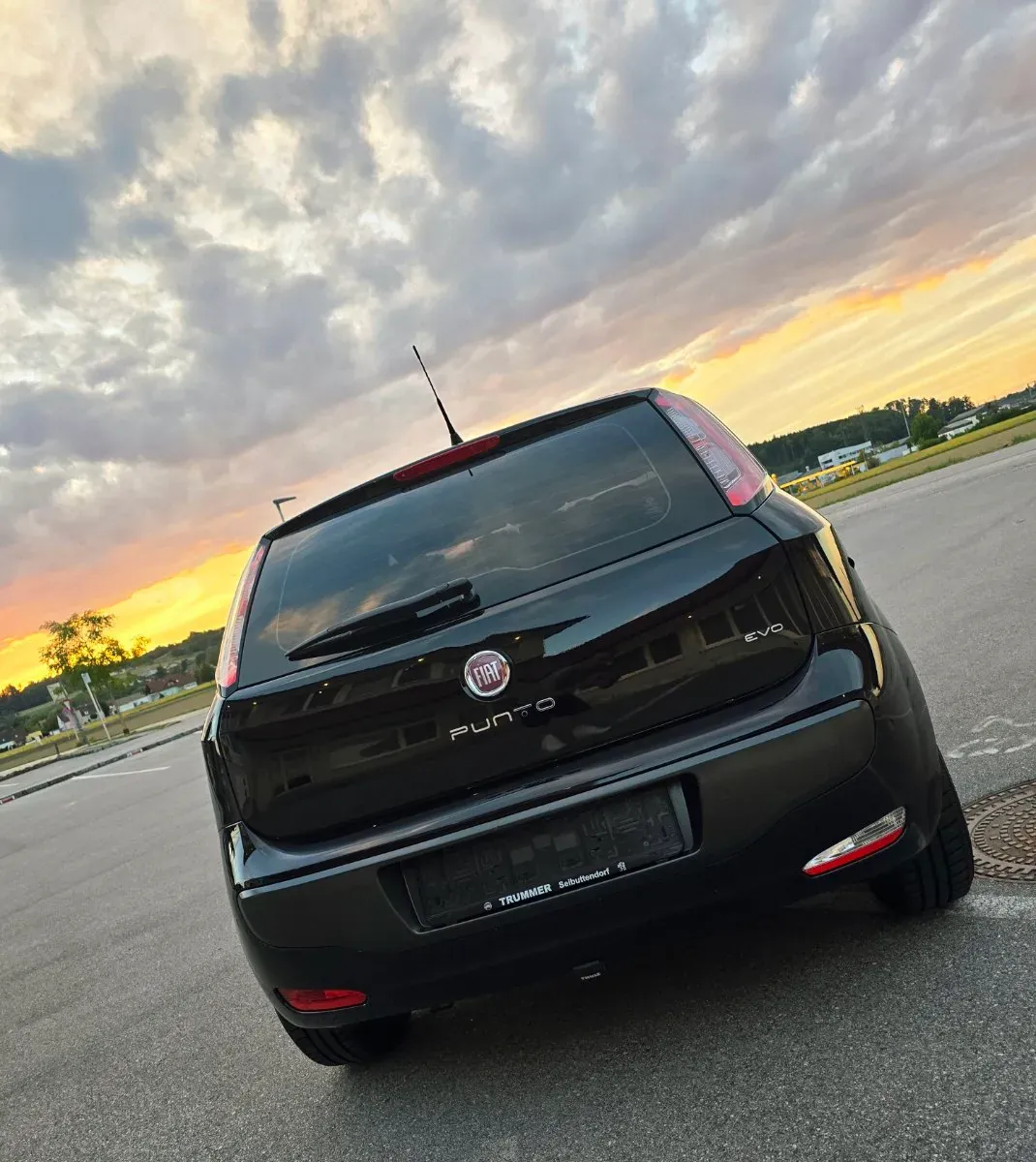Fiat Punto 2010 photo 3