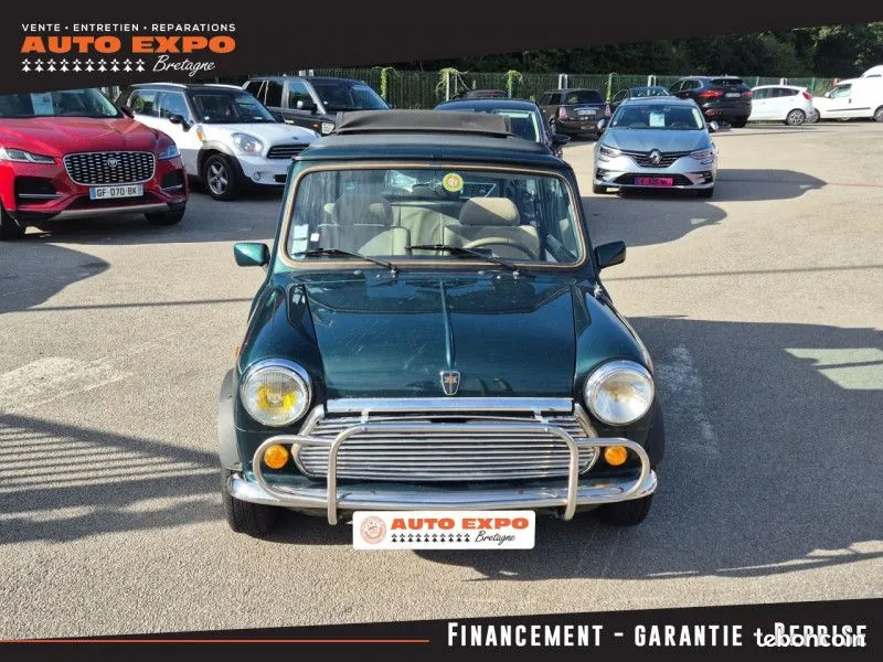 Rover Mini 1993 photo 5