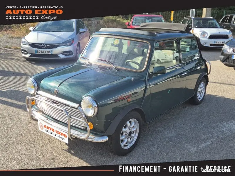 Rover Mini