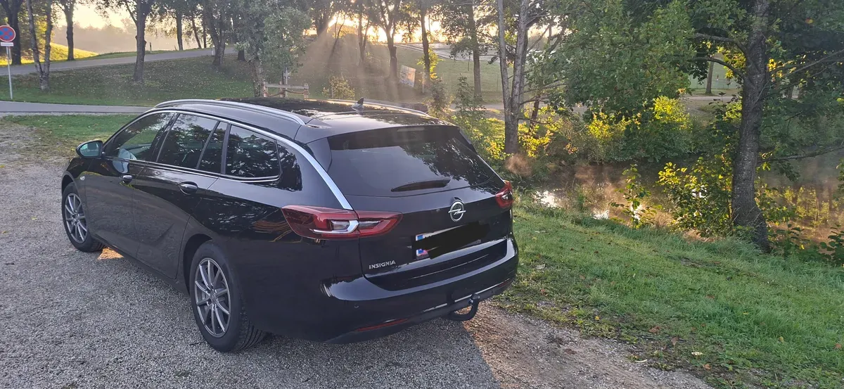 Opel Insignia 2020 photo 3