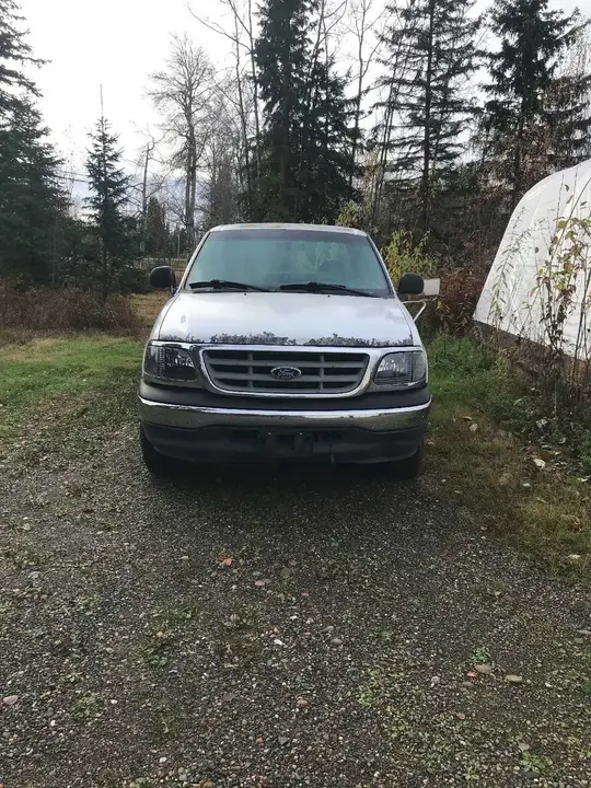 Ford F-150 2000 photo 2