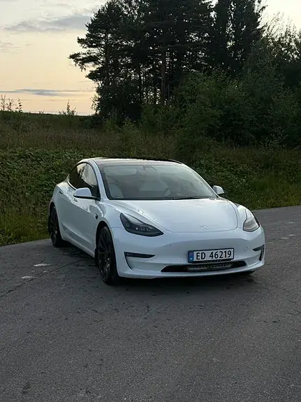 Tesla Model 3 2021 photo 3