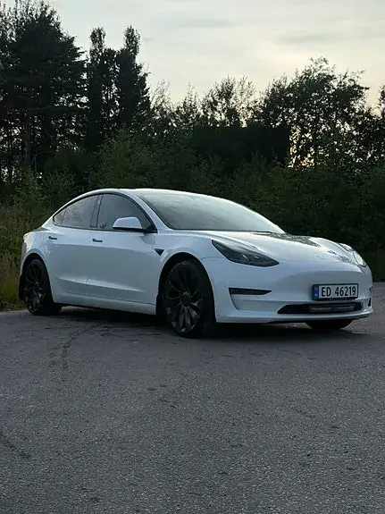 Tesla Model 3 2021 photo 4