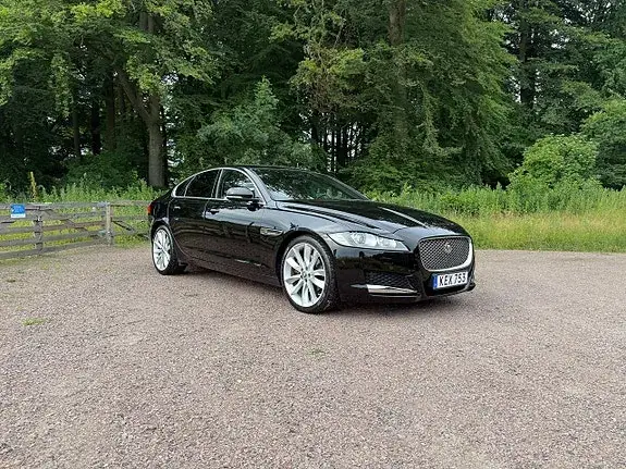 Jaguar Xf