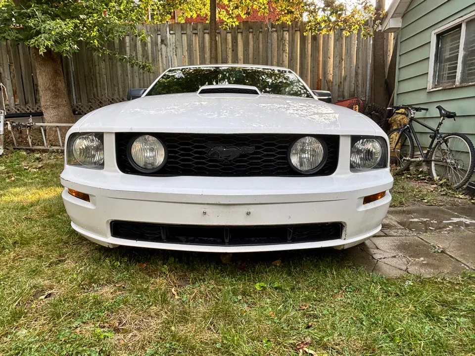 Ford Mustang 2007 photo 3