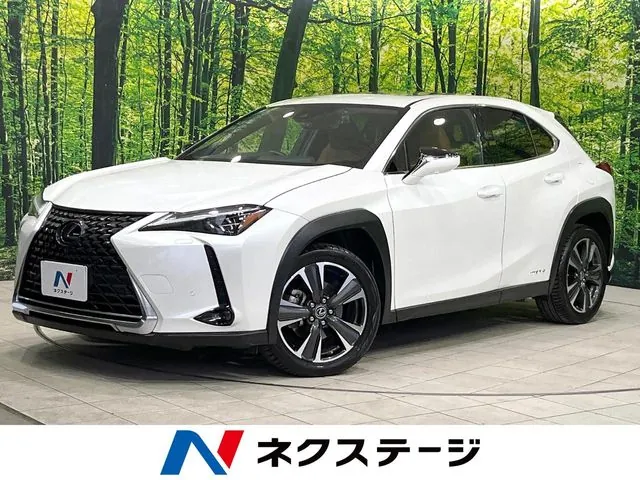 Toyota Ux 250H