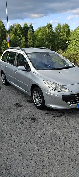 Peugeot 307 2008 photo 4