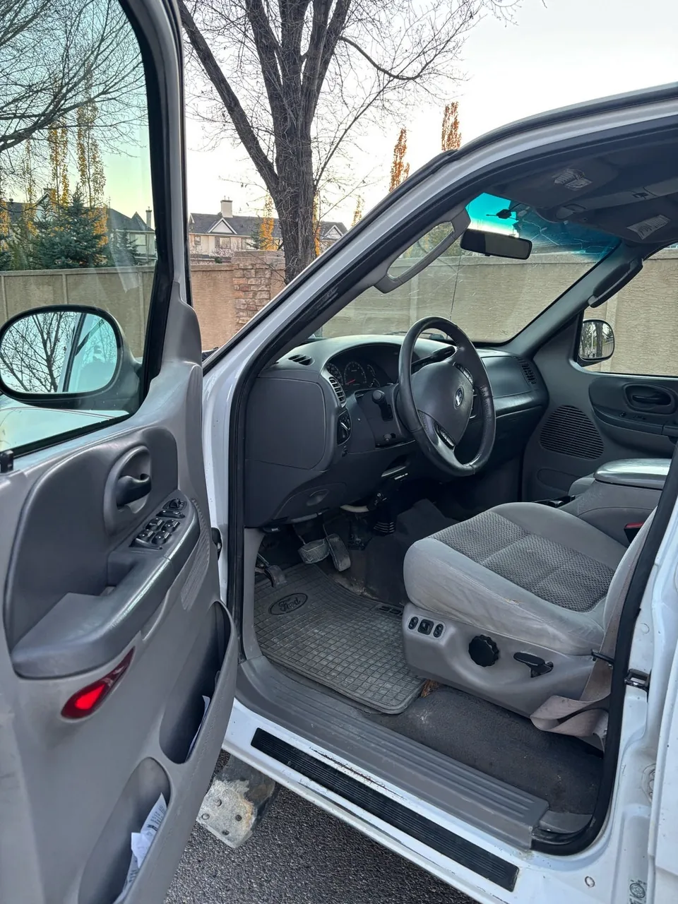 Ford F-150 2003 photo 3