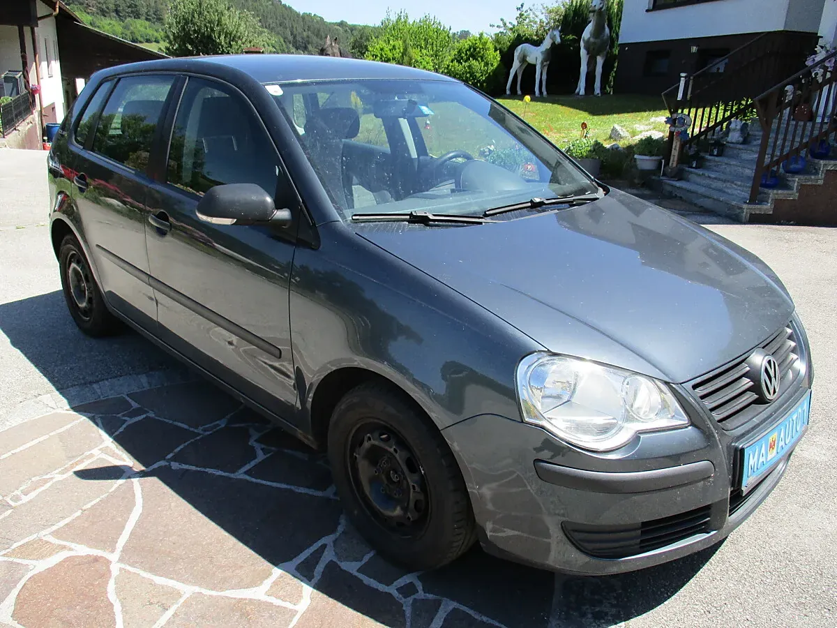 Volkswagen Polo 2006 photo 2