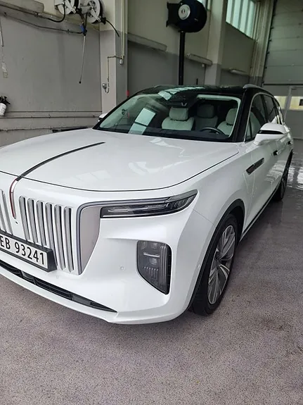 Hongqi E-Hs9