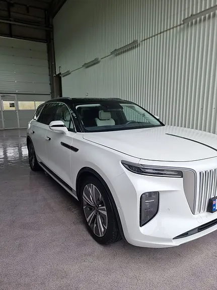 Hongqi E-Hs9 2022 photo 4