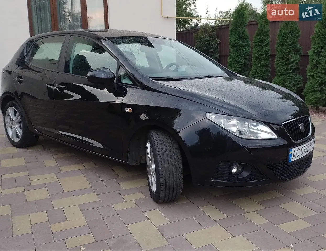 Seat Ibiza 2010 photo 2