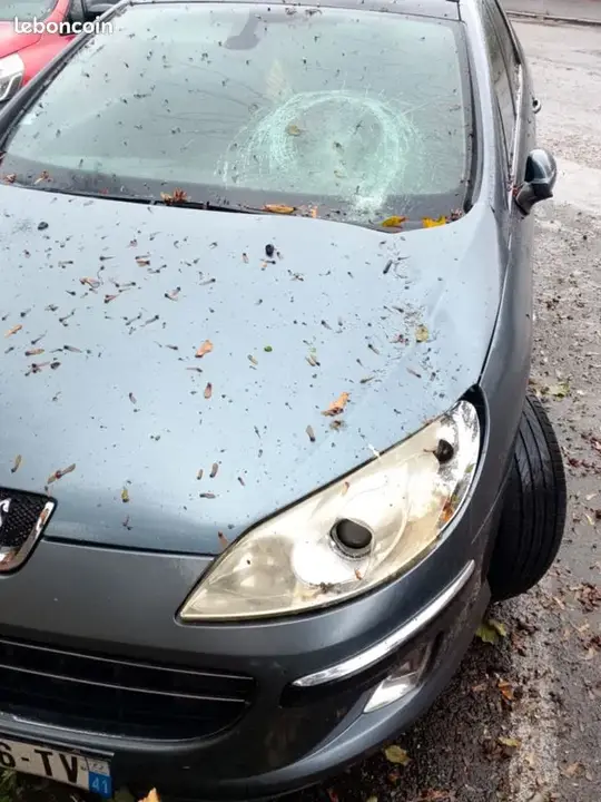 Peugeot 407