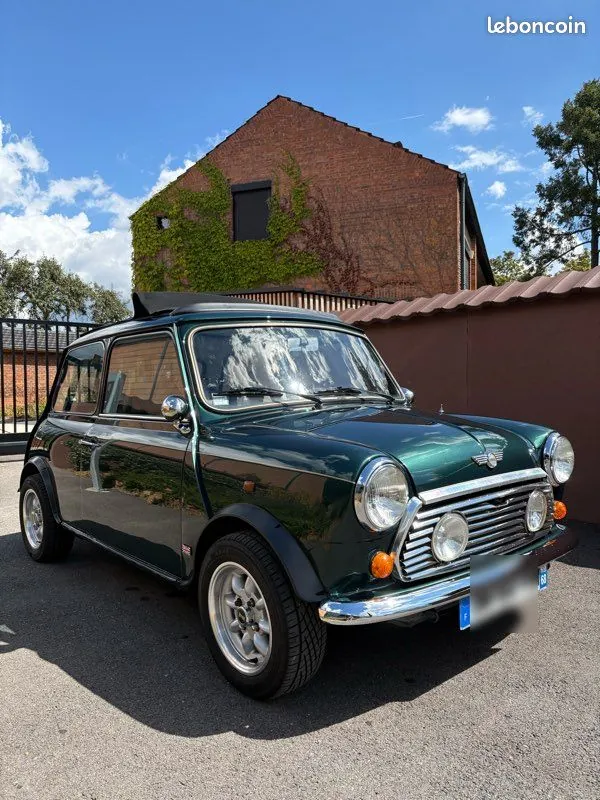 Mini Mini