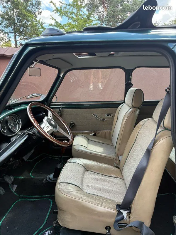 Mini Mini 1992 photo 3