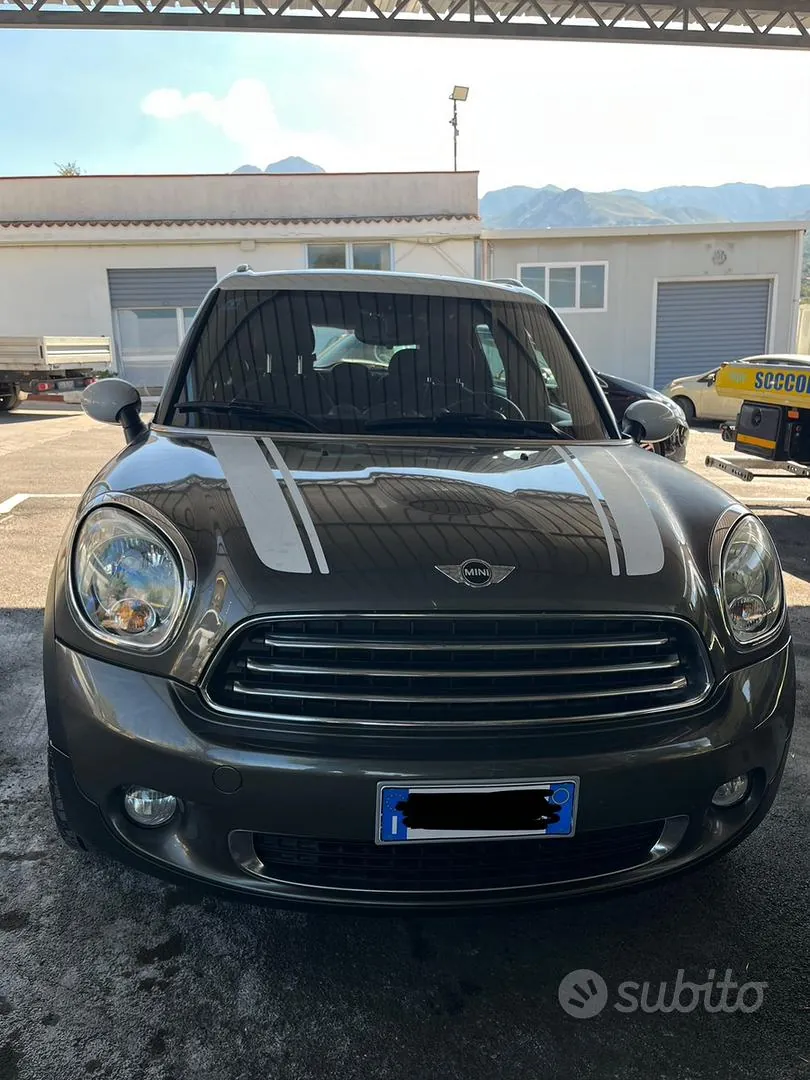 Mini Mini Countryman