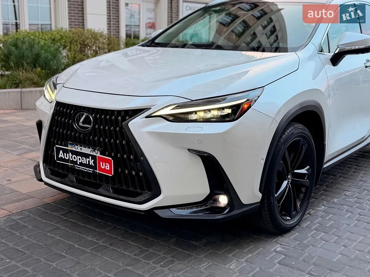 Lexus Nx 2024 photo 4