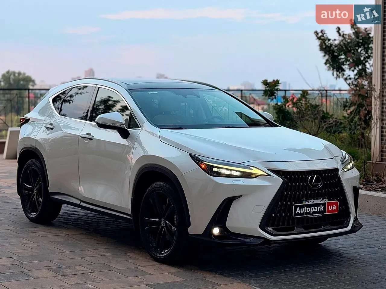 Lexus Nx 2024 photo 3