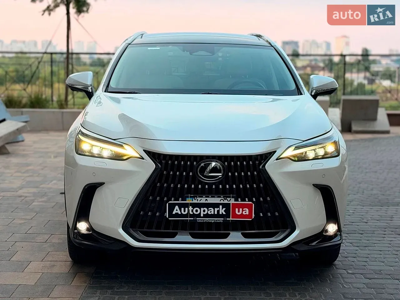 Lexus Nx 2024 photo 2