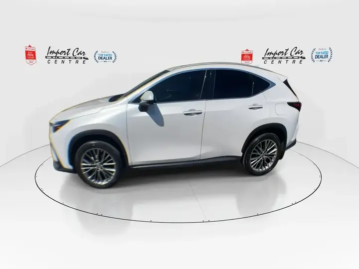 Lexus Nx 350 2022 photo 5