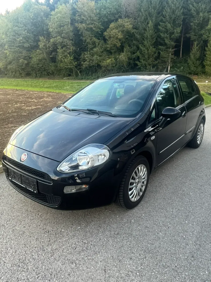 Fiat Punto 2013 photo 3