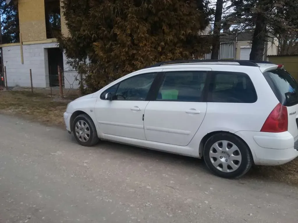 Peugeot 307 2002 photo 3