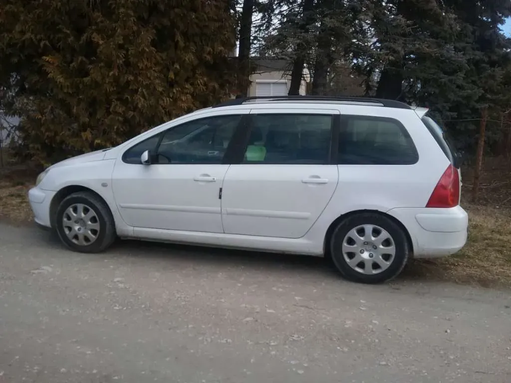 Peugeot 307 2002 photo 2