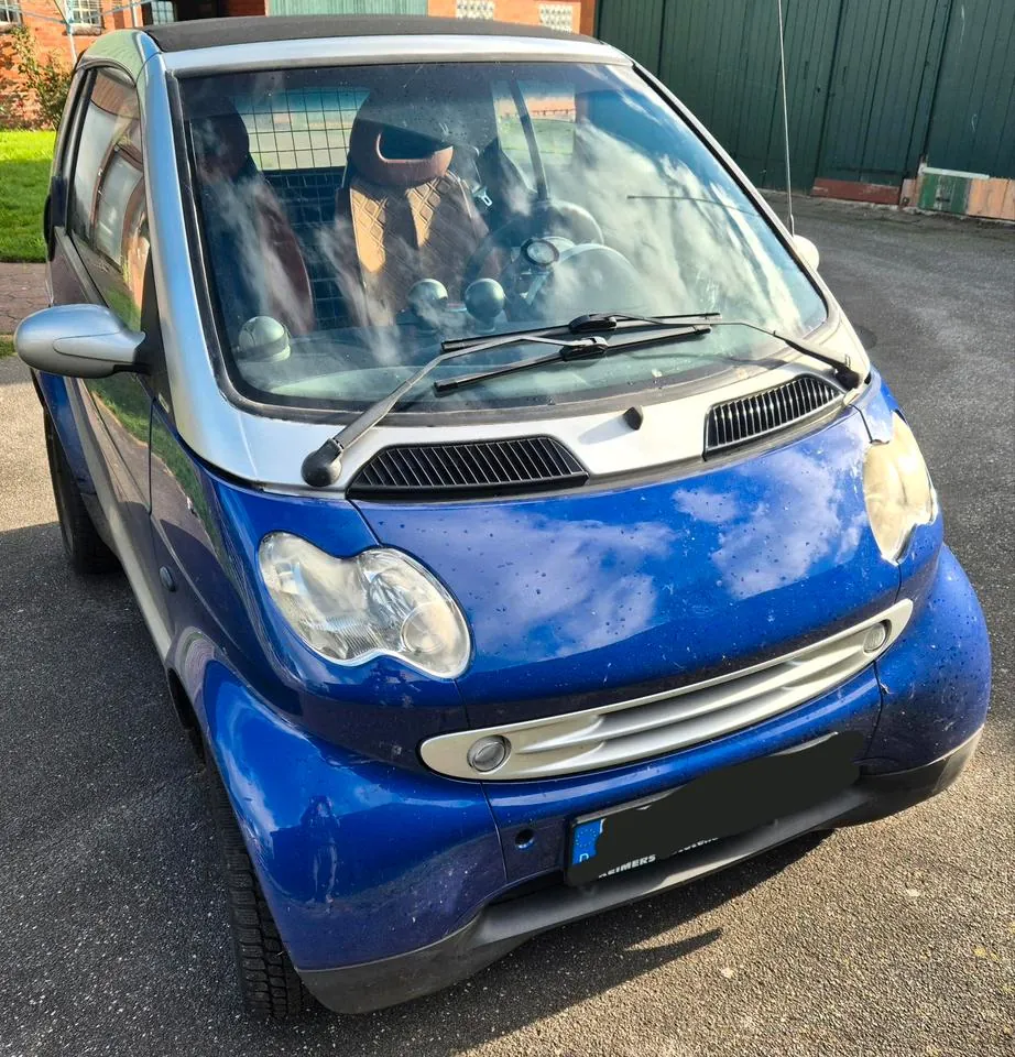 Smart 450 Cabrio