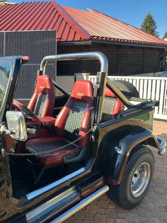 Jeep Wrangler 1994 photo 2