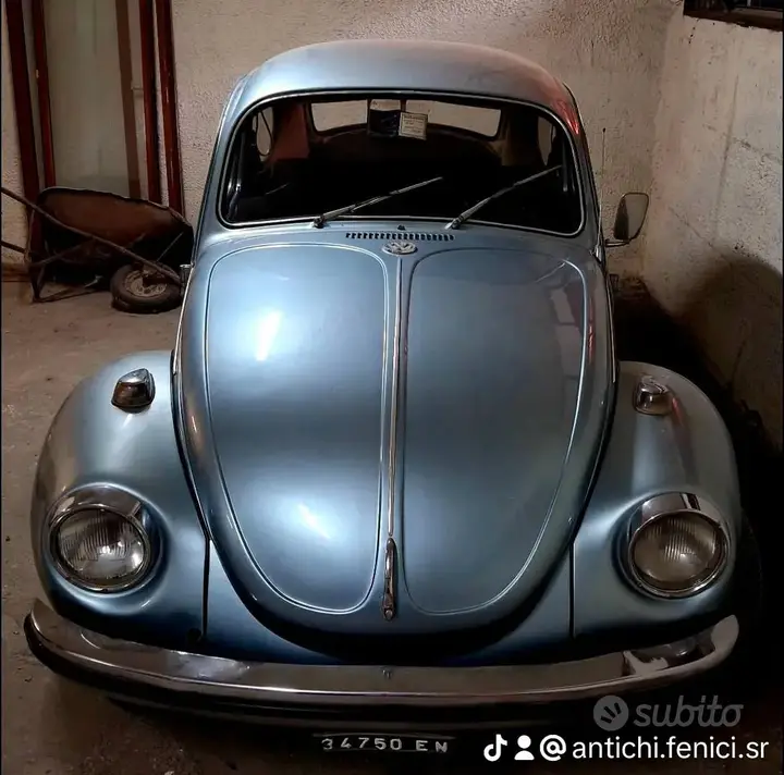 Volkswagen Magnum