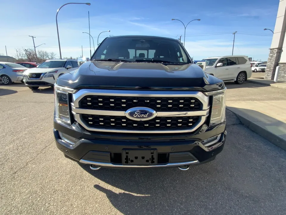 Ford F-150 2023 photo 2