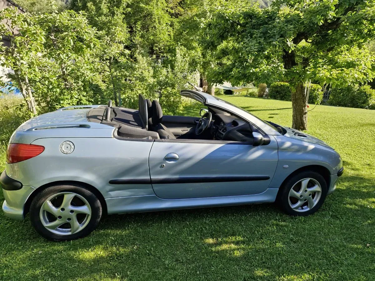 Peugeot 206 2001 photo 3