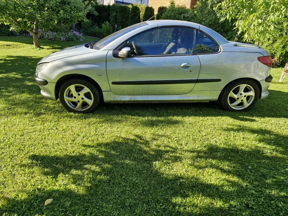 Peugeot 206 2001 photo 2