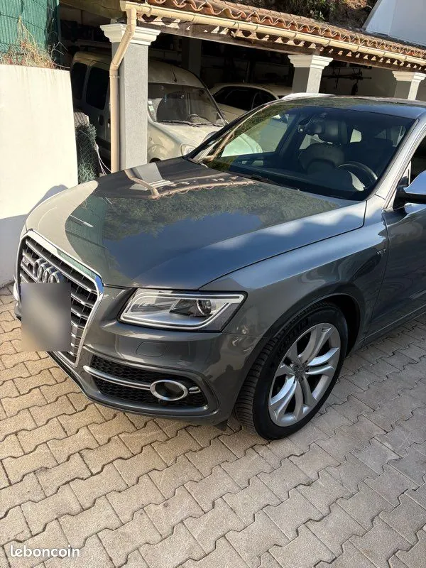 Audi Sq5