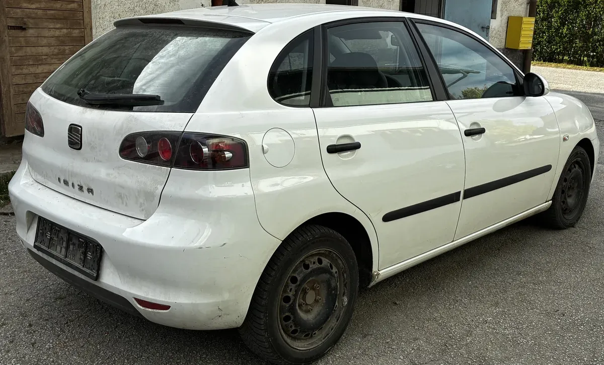 Seat Ibiza 2009 photo 3
