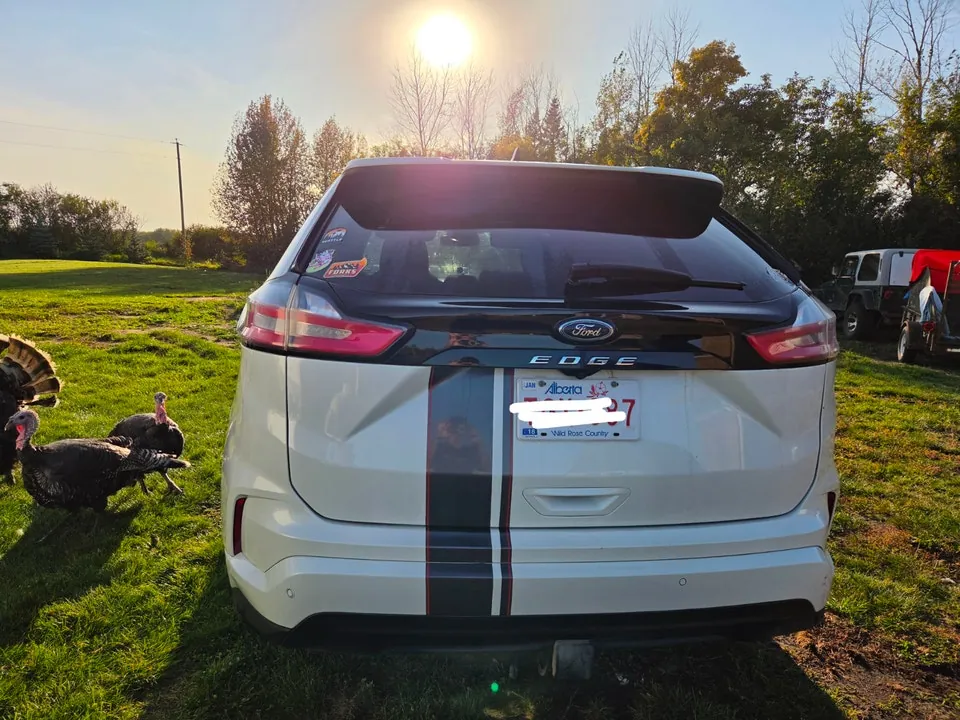 Ford Edge 2022 photo 3