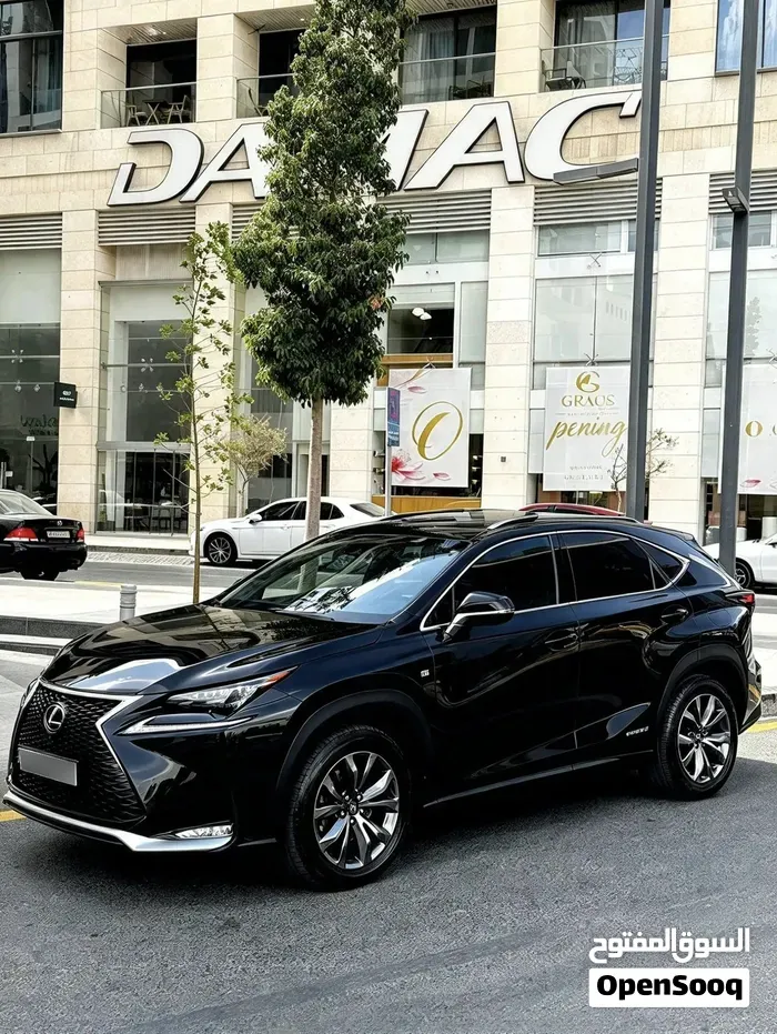 Lexus Nx 2015 photo 2