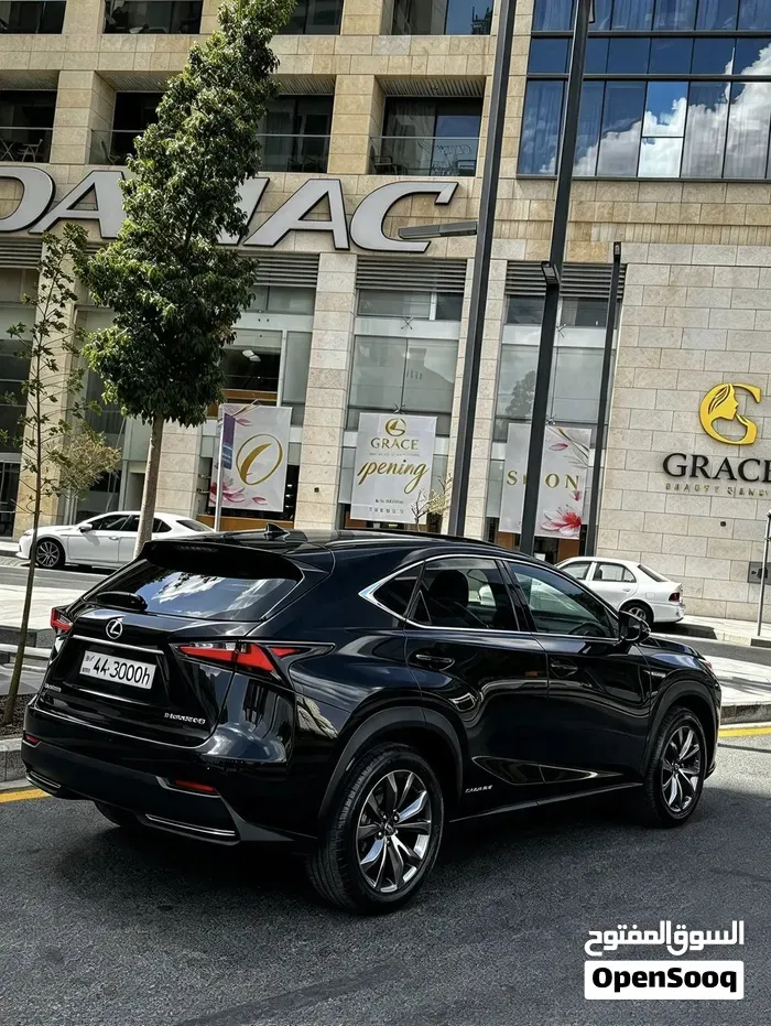 Lexus Nx 2015 photo 4
