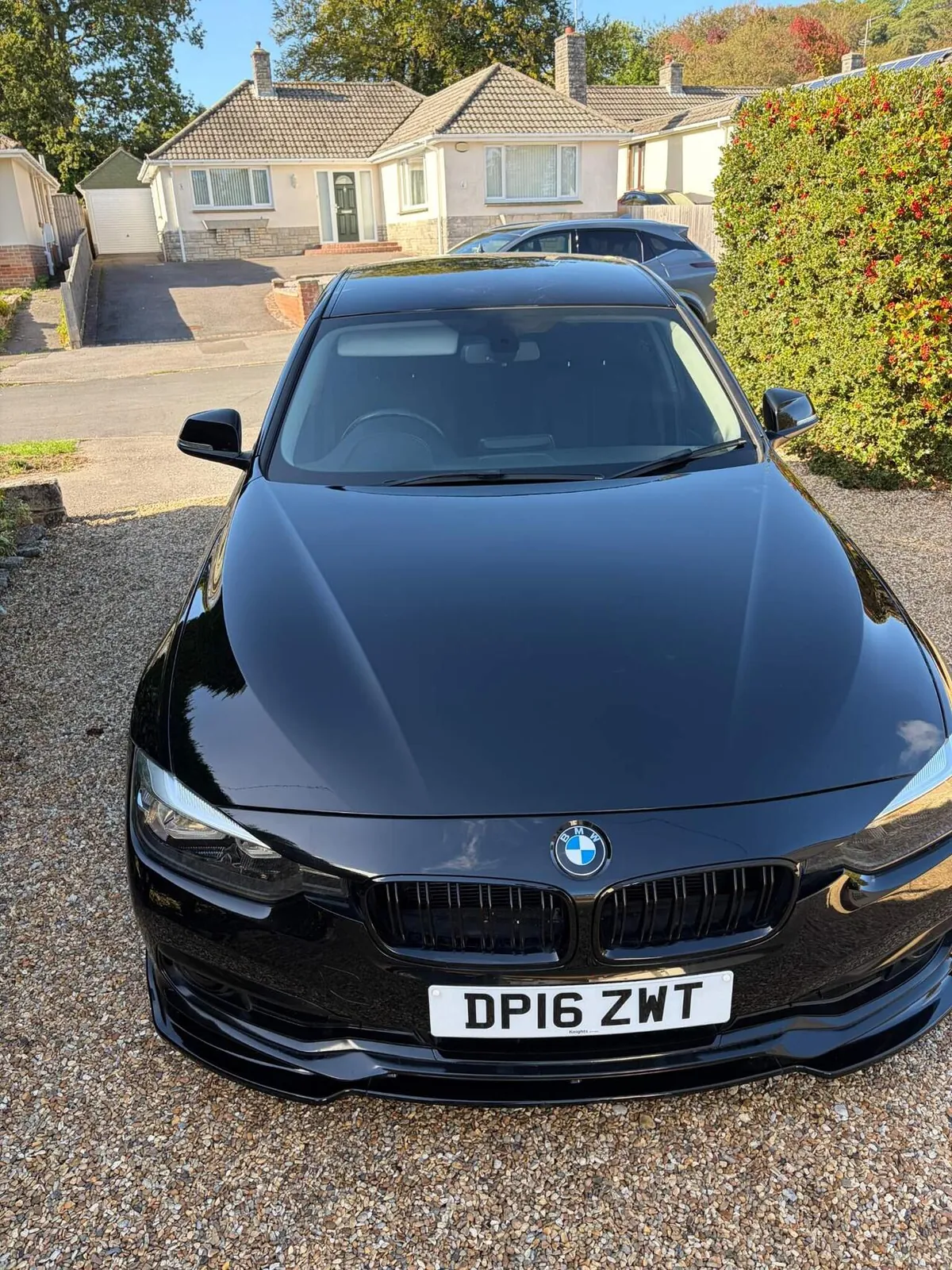 BMW 3 Series 2016 photo 3