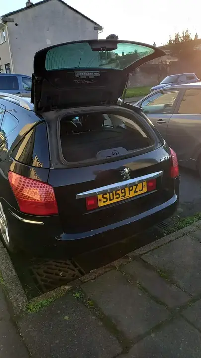 Peugeot 407 2009 photo 3